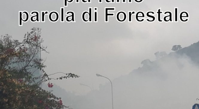 BROLO – SMETTEREMO CON I “FUMI”! SABATO… PAROLA DI FORESTALE