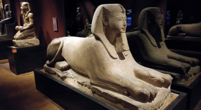 ECCELLENZE NON SOLO BROLESI – L’ELETTROSUD FORNITORE DEI PRODOTTI D’ILLUMINAZIONE NUOVE SALE MUSEO EGIZIO DI TORINO