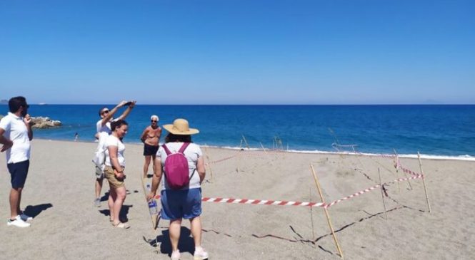 SPIAGGIA DI PIRAINO – E la “Caretta Caretta” la scelse per nidificare