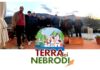 TERRE DEI NEBRODI” – Al via il progetto a sostegno della filiera corta e dei mercati locali