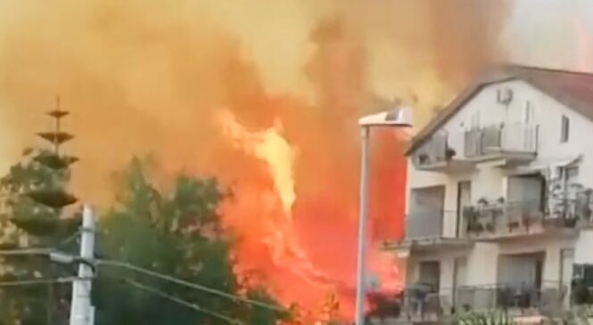 Incendi, Schifani: “Chiederemo lo stato d’emergenza al governo nazionale”